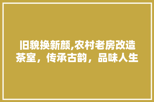 旧貌换新颜,农村老房改造茶室，传承古韵，品味人生
