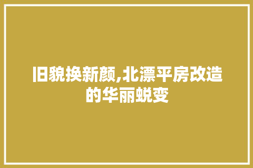 旧貌换新颜,北漂平房改造的华丽蜕变