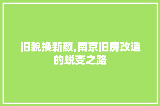 旧貌换新颜,南京旧房改造的蜕变之路