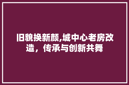旧貌换新颜,城中心老房改造，传承与创新共舞