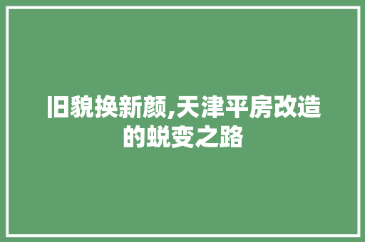 旧貌换新颜,天津平房改造的蜕变之路