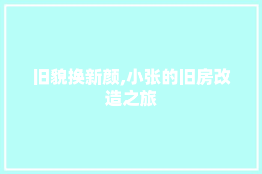 旧貌换新颜,小张的旧房改造之旅