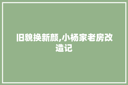 旧貌换新颜,小杨家老房改造记