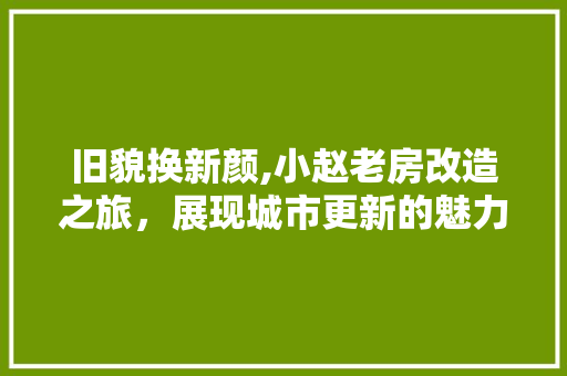 旧貌换新颜,小赵老房改造之旅，展现城市更新的魅力 厨房维修