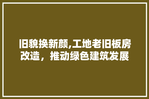 旧貌换新颜,工地老旧板房改造，推动绿色建筑发展