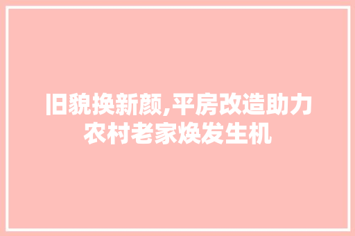 旧貌换新颜,平房改造助力农村老家焕发生机