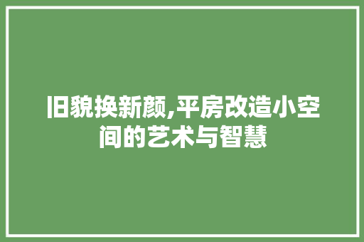 旧貌换新颜,平房改造小空间的艺术与智慧