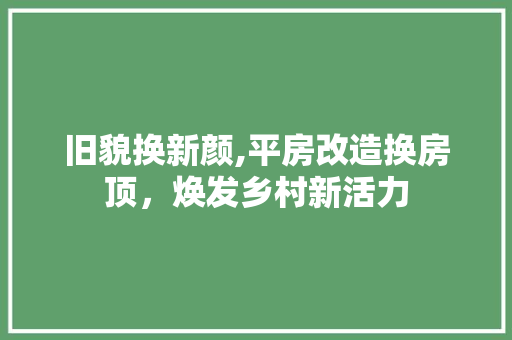 旧貌换新颜,平房改造换房顶，焕发乡村新活力