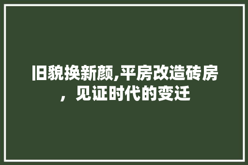 旧貌换新颜,平房改造砖房，见证时代的变迁