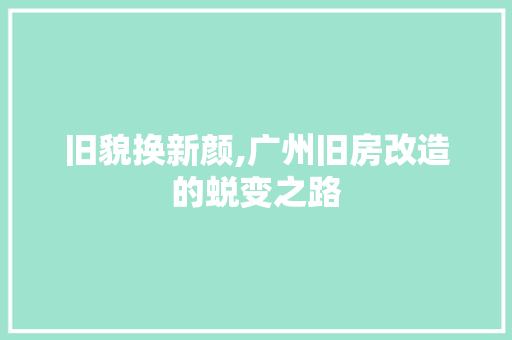 旧貌换新颜,广州旧房改造的蜕变之路 墙体维修