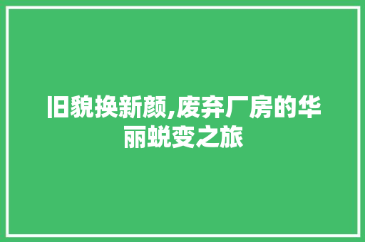 旧貌换新颜,废弃厂房的华丽蜕变之旅