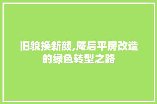 旧貌换新颜,庵后平房改造的绿色转型之路