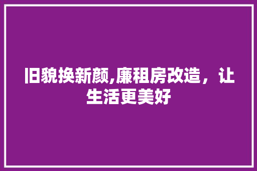 旧貌换新颜,廉租房改造，让生活更美好