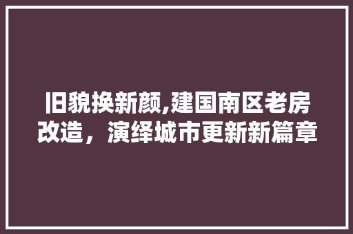 旧貌换新颜,建国南区老房改造，演绎城市更新新篇章