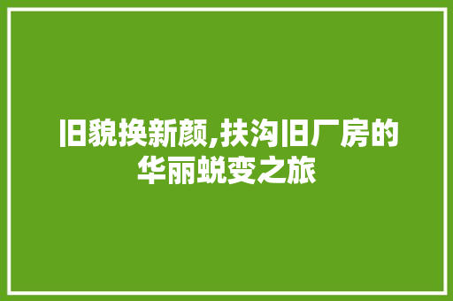 旧貌换新颜,扶沟旧厂房的华丽蜕变之旅