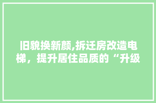 旧貌换新颜,拆迁房改造电梯，提升居住品质的“升级”之旅 墙体维修
