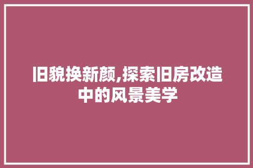 旧貌换新颜,探索旧房改造中的风景美学 居家维修