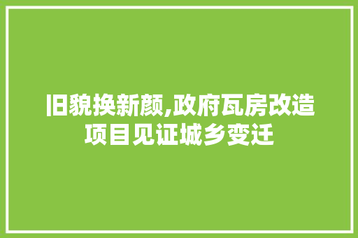 旧貌换新颜,政府瓦房改造项目见证城乡变迁