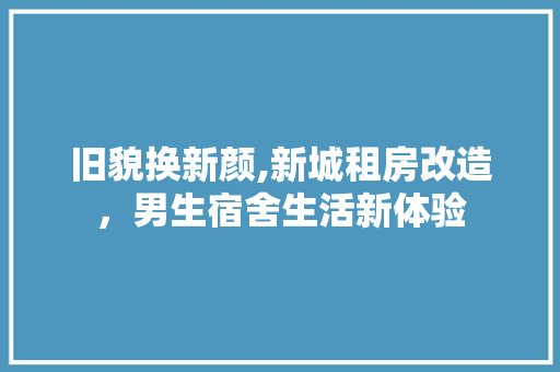 旧貌换新颜,新城租房改造，男生宿舍生活新体验