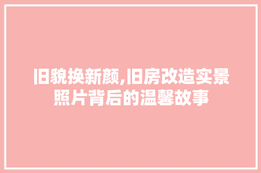 旧貌换新颜,旧房改造实景照片背后的温馨故事