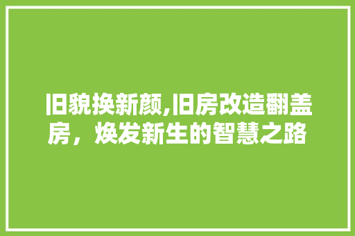 旧貌换新颜,旧房改造翻盖房，焕发新生的智慧之路