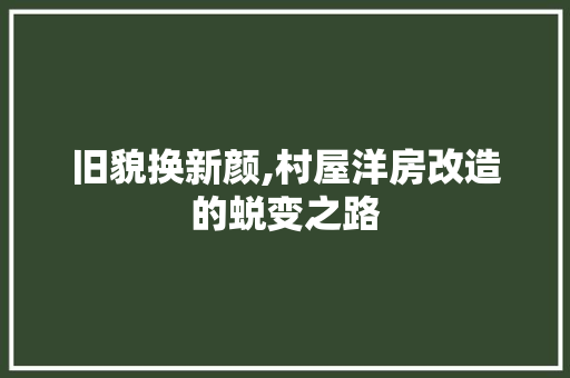旧貌换新颜,村屋洋房改造的蜕变之路