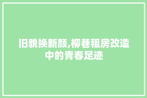 旧貌换新颜,柳巷租房改造中的青春足迹