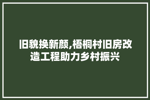 旧貌换新颜,梧桐村旧房改造工程助力乡村振兴