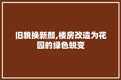 旧貌换新颜,楼房改造为花园的绿色蜕变