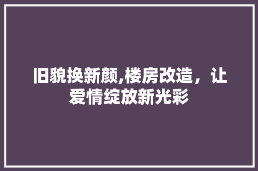 旧貌换新颜,楼房改造，让爱情绽放新光彩