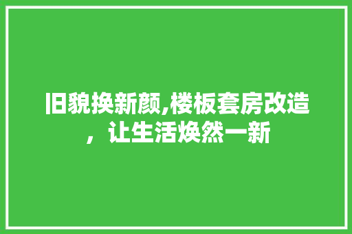旧貌换新颜,楼板套房改造，让生活焕然一新