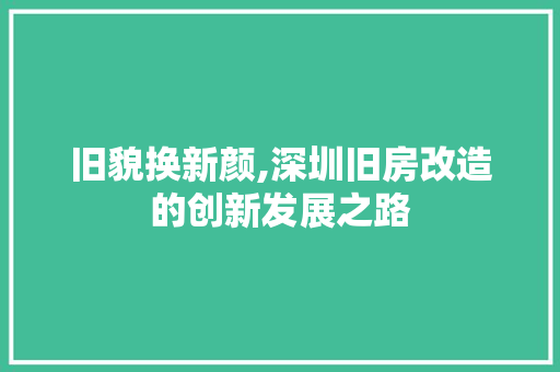 旧貌换新颜,深圳旧房改造的创新发展之路