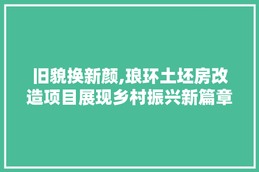 旧貌换新颜,琅环土坯房改造项目展现乡村振兴新篇章 居家维修