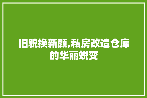 旧貌换新颜,私房改造仓库的华丽蜕变 家电维修