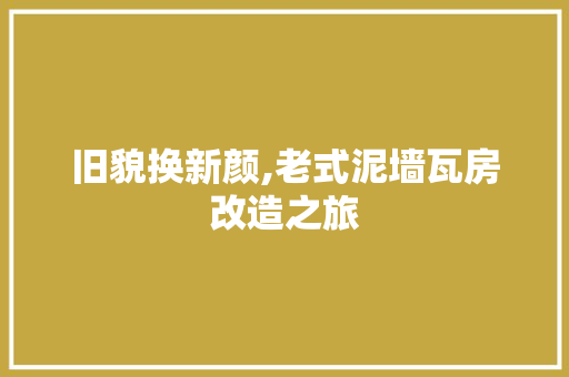 旧貌换新颜,老式泥墙瓦房改造之旅 厨房维修