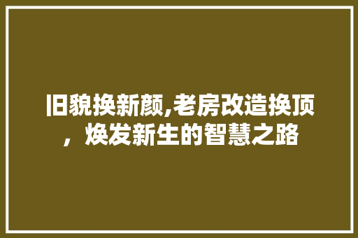 旧貌换新颜,老房改造换顶，焕发新生的智慧之路 家电维修