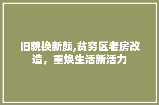 旧貌换新颜,贫穷区老房改造，重焕生活新活力 厨房维修