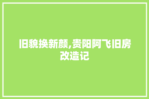 旧貌换新颜,贵阳阿飞旧房改造记 户内维修