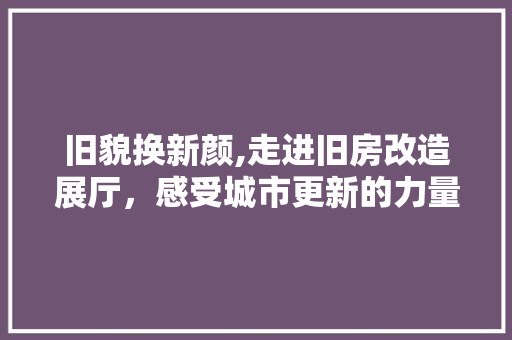 旧貌换新颜,走进旧房改造展厅，感受城市更新的力量 墙体维修