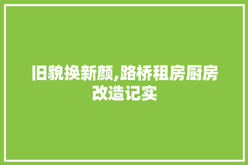 旧貌换新颜,路桥租房厨房改造记实 家电维修
