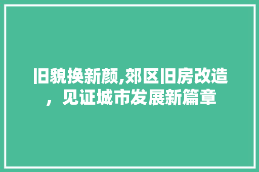 旧貌换新颜,郊区旧房改造，见证城市发展新篇章 户内维修