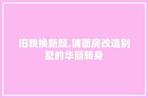 旧貌换新颜,铺面房改造别墅的华丽转身 厨房维修