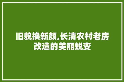 旧貌换新颜,长清农村老房改造的美丽蜕变