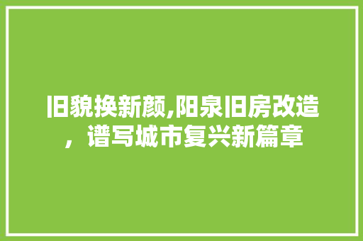 旧貌换新颜,阳泉旧房改造，谱写城市复兴新篇章