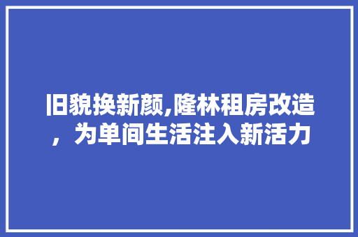 旧貌换新颜,隆林租房改造，为单间生活注入新活力