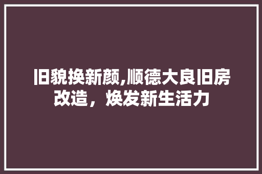 旧貌换新颜,顺德大良旧房改造，焕发新生活力