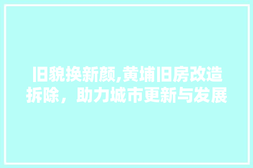 旧貌换新颜,黄埔旧房改造拆除，助力城市更新与发展