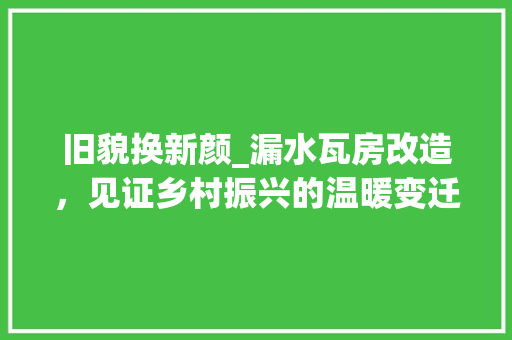 旧貌换新颜_漏水瓦房改造，见证乡村振兴的温暖变迁