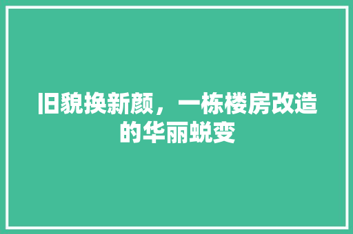 旧貌换新颜，一栋楼房改造的华丽蜕变 户内维修
