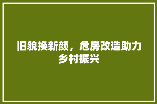 旧貌换新颜，危房改造助力乡村振兴